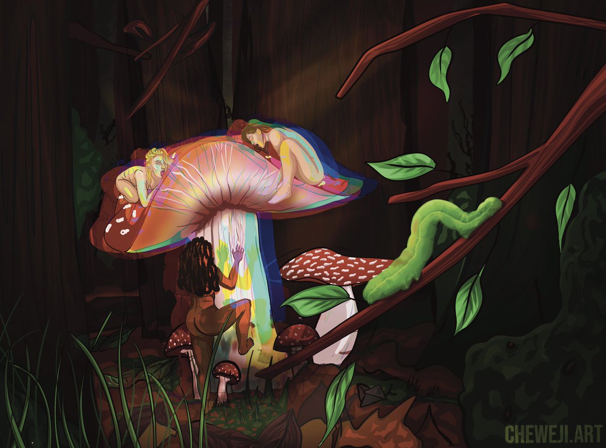 cheweji's tweet photo. MAGIC ✨
#magicmushroom #shrooms #magic https://t.co/0PaHJtgIx1
