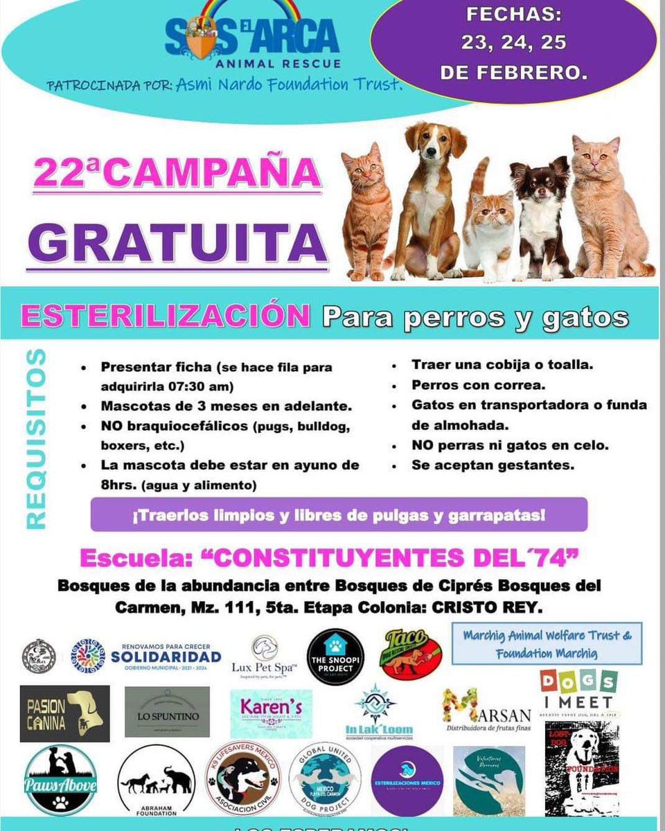¡Campaña GRATUITA de ESTERILIZACIÓN #22✂️🥚🥚 para nuestros pequeños de 4 patas🐶🐱!

🙋🏽‍♂️Amigxs solidarenses, en especial los vecinxs de la colonia Cristo Rey. <a href="/SOSELARCA/">#SOSELARCA ®</a> esta organizándola; Nos vemos el 23, 24 y 25 de febrero🗓 

Llega temprano porque hay cupo limitado🎟