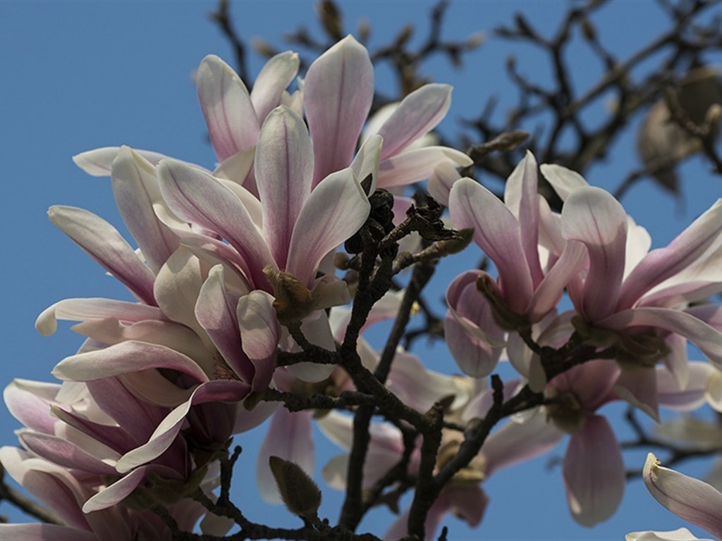 Teythasse (@teythasse76352) on Twitter photo 