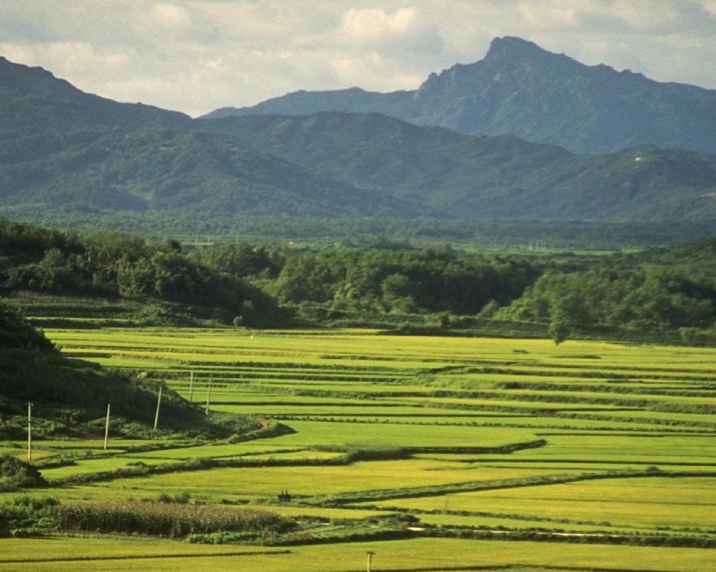 Theshay (@theshay422408) on Twitter photo 