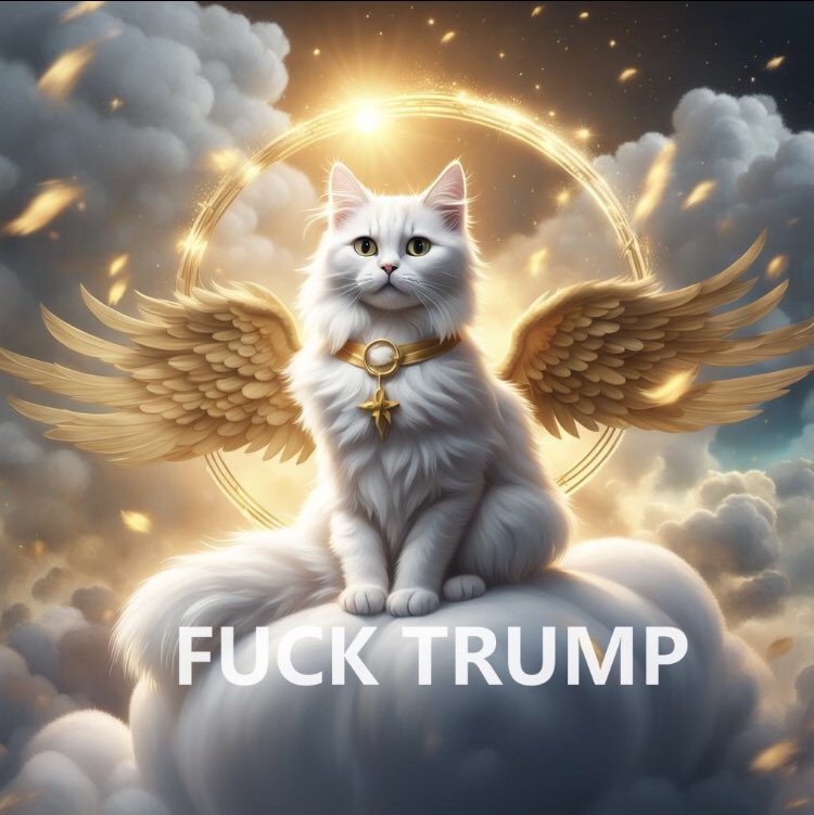 🇺🇸🦅#BlueStormComin1💙 #BlueStormFriends 🦅 tweet media