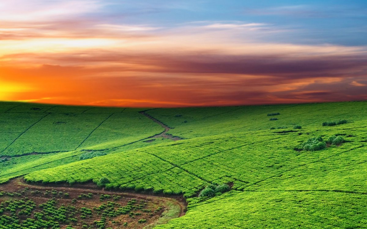 Geigh (@geigh141280) on Twitter photo 