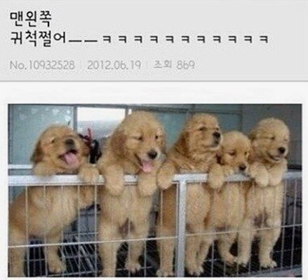 맨왼쪽 귀척쩔어!!!!!!!!!!!!! ㅡㅡ♡♡♡♡♡