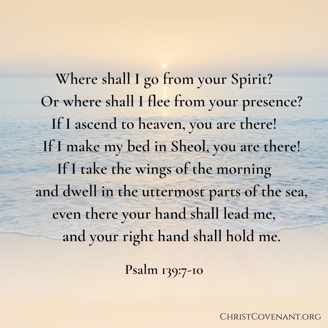 Christ Covenant tweet media