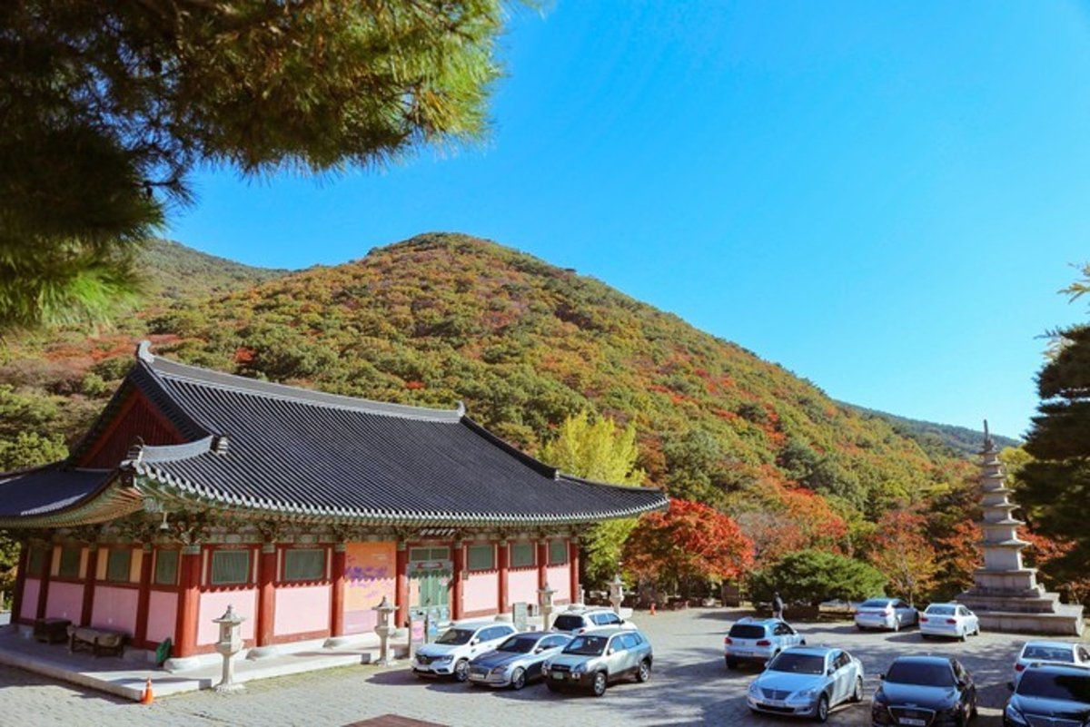 Thohough (@thohough4810) on Twitter photo 