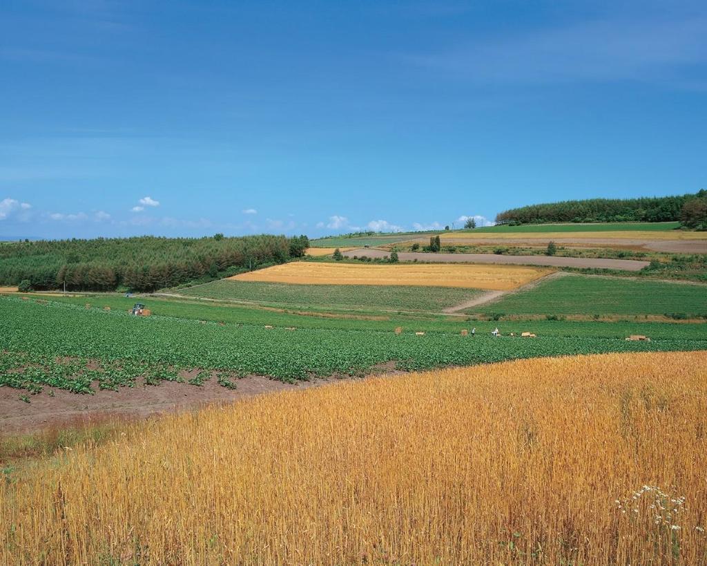 Shethos (@shethos124688) on Twitter photo 