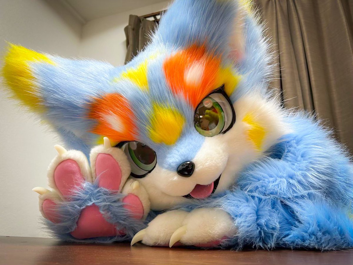 そら🐾 tweet media