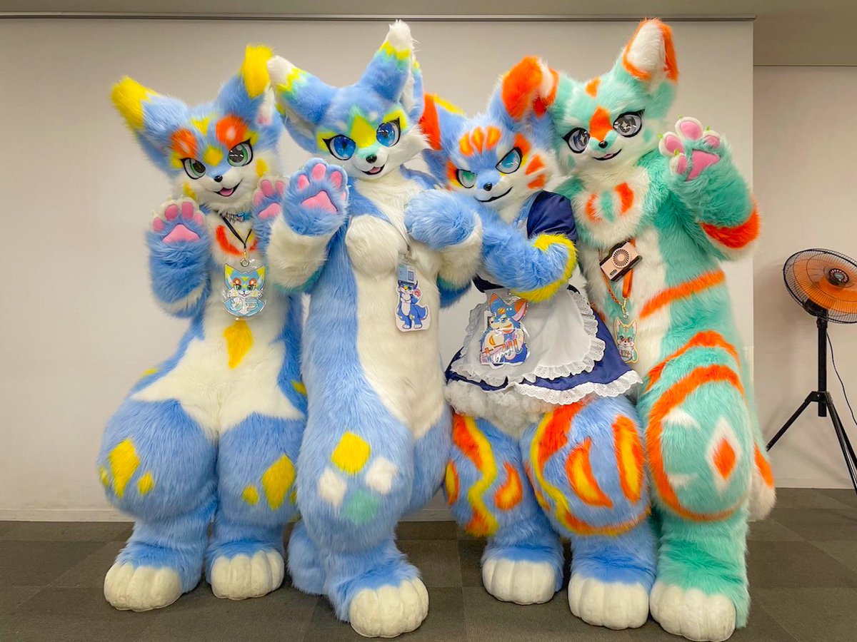 そら🐾 tweet media