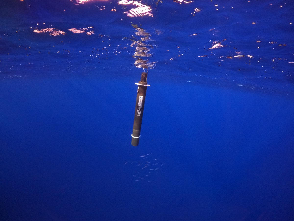 SeatrecInc's tweet photo. ♾️Day 3 of #MissionInfinity:

Test dive for the #infiniTEFloat was a success ! Now this self-powered float profiles every 6 hours at 1000 meters, harvesting energy from the ocean's temperature differences.  

More data.  More possibilities.

#oceanscience https://t.co/eS18noszSL