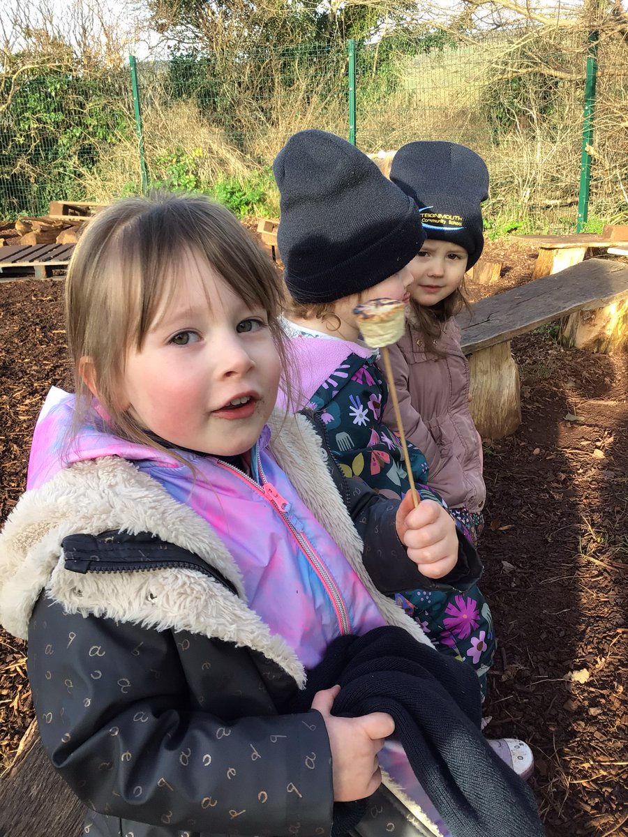 Teignmouth Primary tweet media