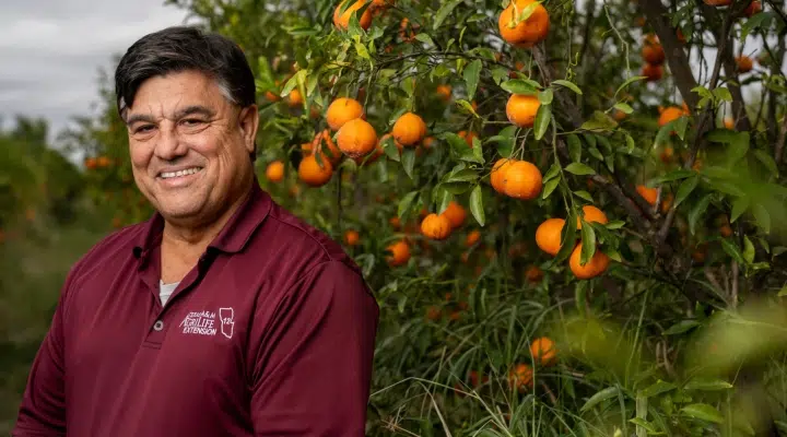 TexProduce's tweet photo. Juan Anciso has been named to lead @txextension's horticulture efforts. Anciso's boots-on-the-ground approach and dedication to research will continue to benefit #TexasAgriculture. Congratulations! 🌟
https://t.co/Lya8RSbYqZ
#TexasProduce #AgriLifeExtension #HorticultureLeader https://t.co/p6KTd0b0FM