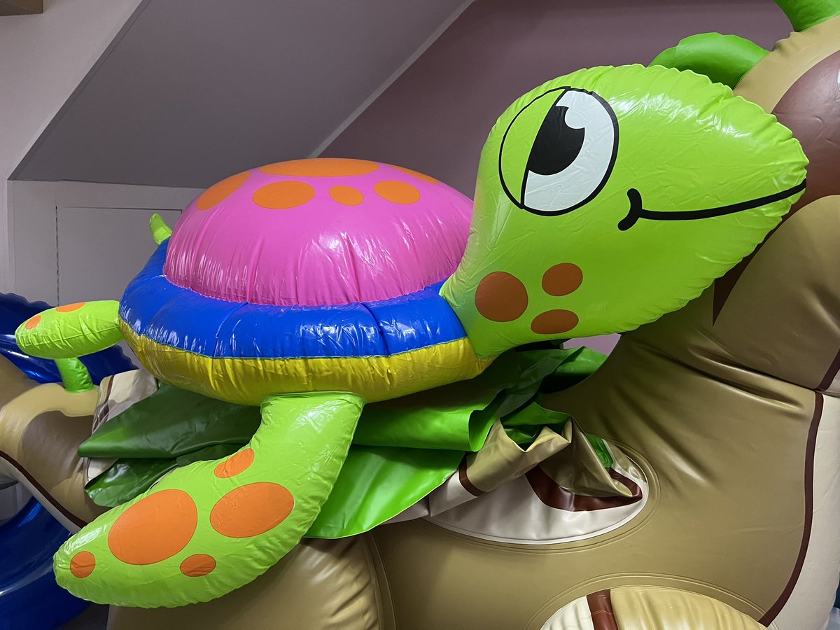 What a cute derpy turtle :3 Thank you so much @BWolfclaw 🥰 Didn’t expected that :3 #inflatable #squeaky