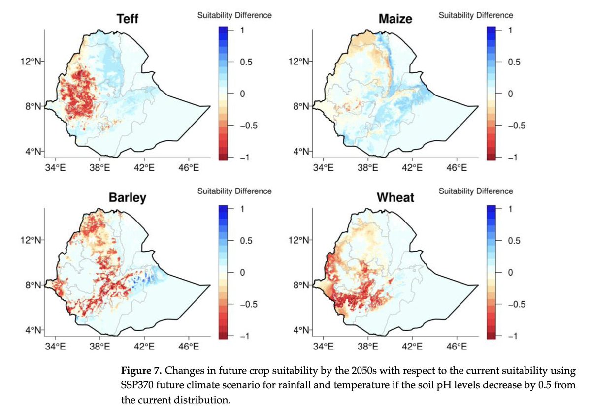 New paper by Tamirat Jimma et al on impacts of soil #acidification & #climatechange on future crop suitability in #Ethiopia out in Sustainability. Research co-funded by our @EU_Partnerships funded @Leg4Dev project (@ILRI & @uniofgalway) tinyurl.com/5n6dkcd6 #SDG2 #SDG13