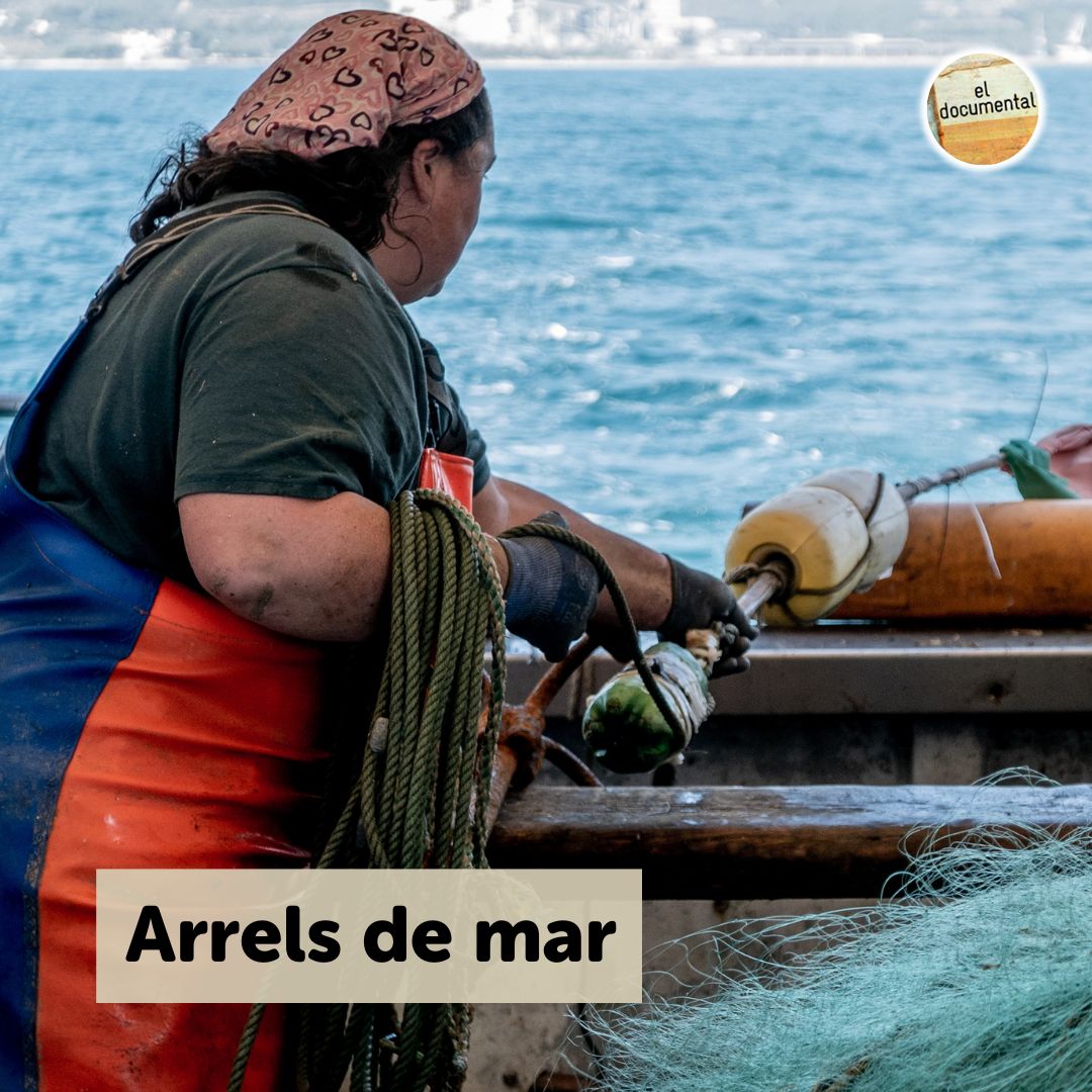 eldocumental33's tweet image. Avui, a #eldocumental33 ens endinsem en el món de la mar i la seva gent mitjançant els testimonis i les històries d'aquells i aquelles que d'alguna manera han trobat la seva vocació a la mar @Dipta_cat @TGNturisme 

🗓️ESTRENA, a les 23:05, @canal_33 
🔗ccma.cat/3cat/un-homena…