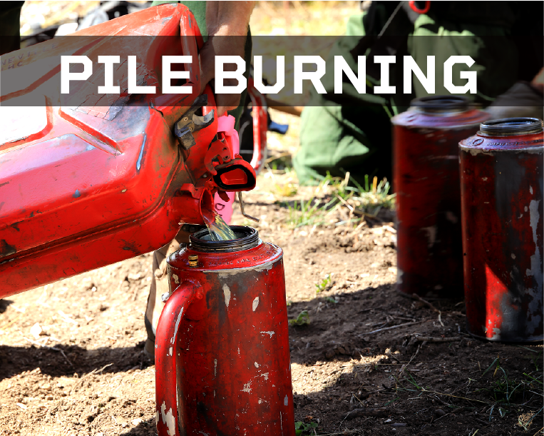 UtahWildfire's tweet photo. #NorthForkRx #ffsl will burn 20 acres of machine stacked piles today on the back side of Navajo Lake and upper North Fork Basin in Kane County. Smoke may be visible from HWY 14. Burning slash piles disposes of woody fuels to reduce wildfire risk and improve forest health. #FFSLKW https://t.co/NyFF99Qmno