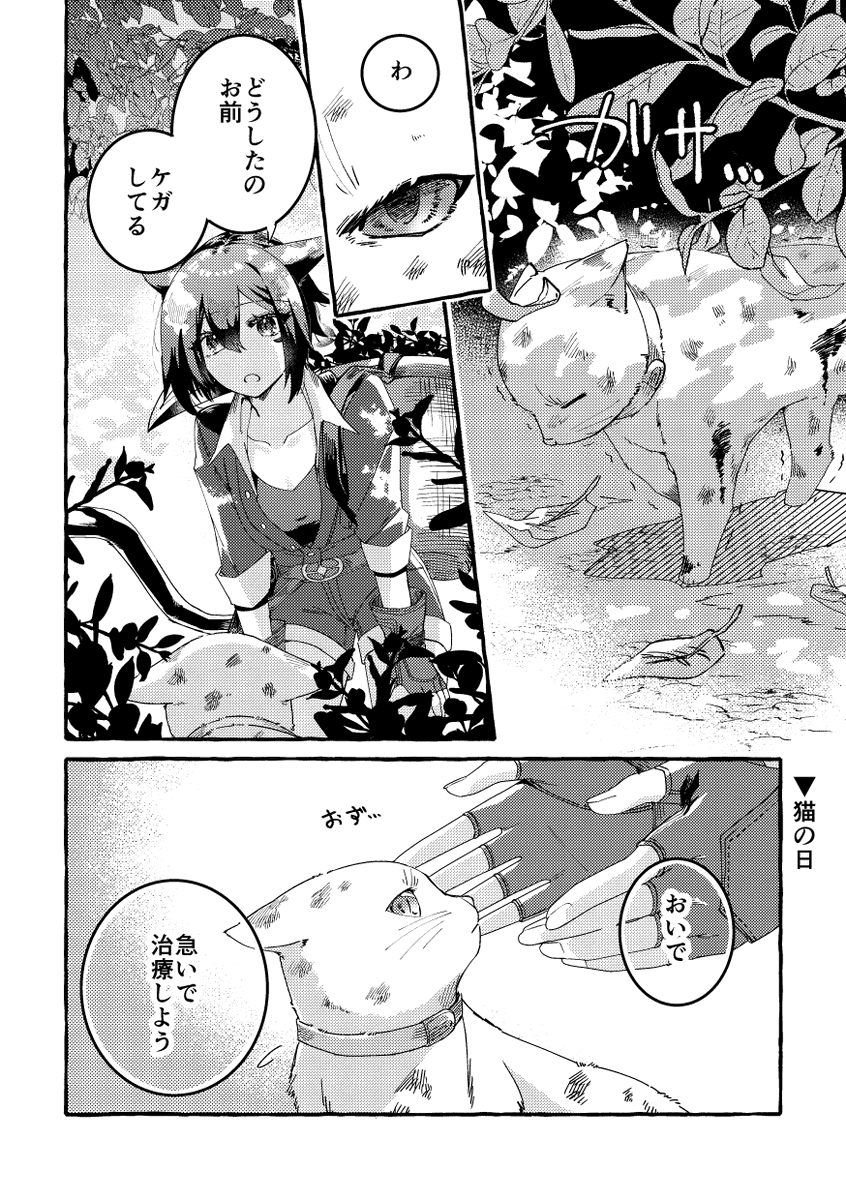 猫の日
サン光① 