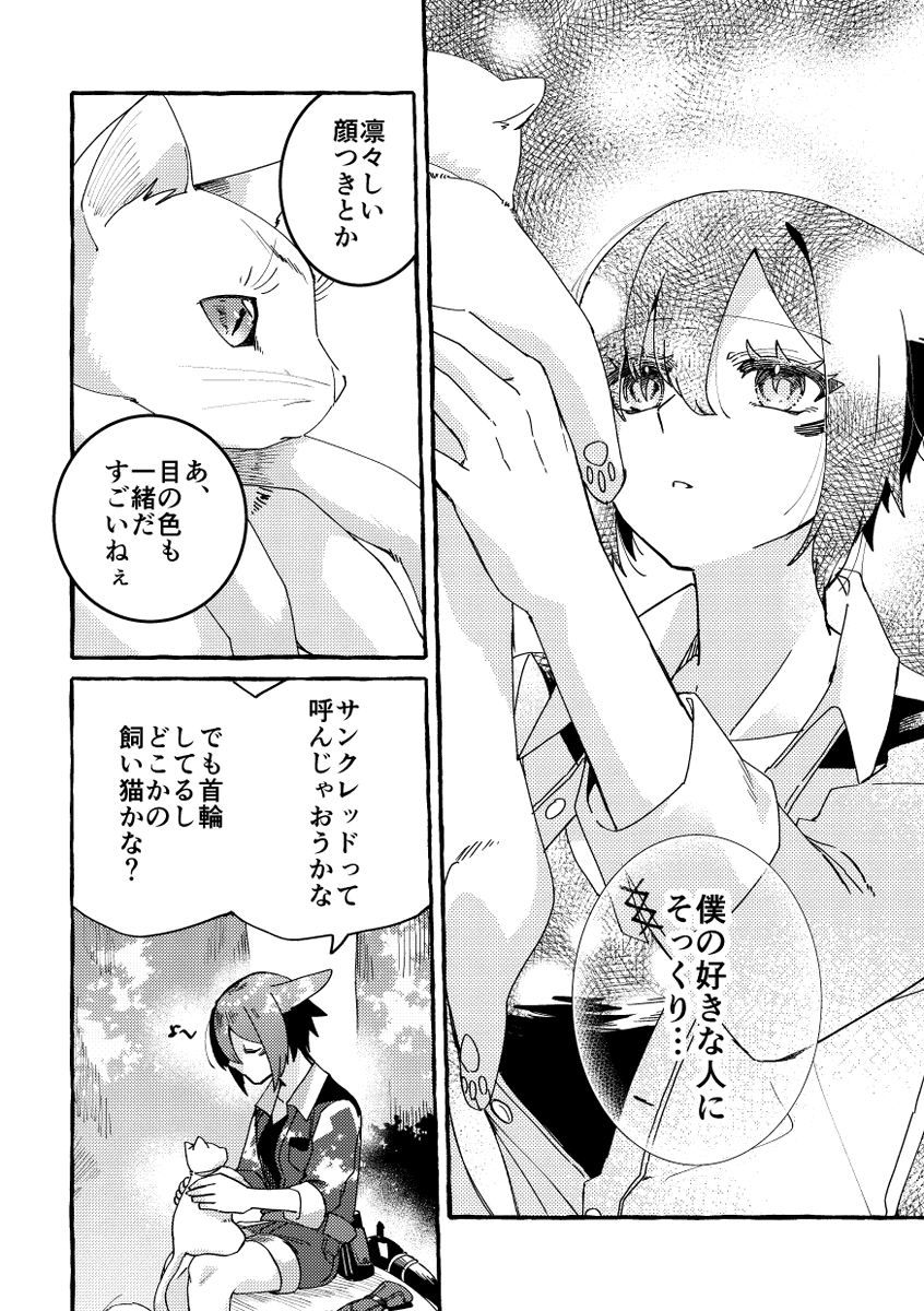 猫の日
サン光① 