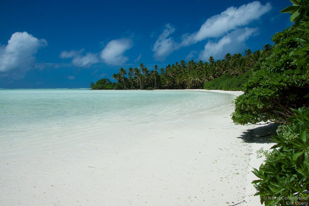 Australia is proud to help support Pacific Island Members to participate at the @WTO Ministerial Meeting next week. A strong Pacific voice in Abu Dhabi will be good for our region, our fisheries, and the global trading system. bitly.ws/3dLMS