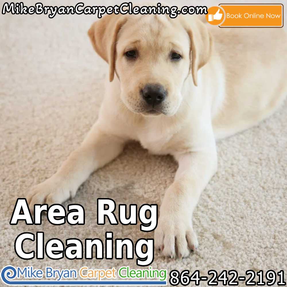 Banish pet stains and odors for good! Our expert service tackles tough stains and eliminates pesky odors, ensuring a fresh and clean home. #PetOdorRemoval #StainFreeLiving
Call  864-430-1499  or visit mikebryancarpetcleaning.com #greersc #taylorssc #greenvillesc #upstatesc