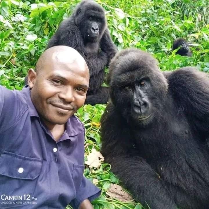 Emmanue25991807's tweet image. In Zimbabwe, a man appeared and announced to the villagers that he would buy monkeys for $20.00 each.

#SmartLayers #TrueCaller #NigerianProtest  #BreakingNews Hamas Binance Julius Abure Igbos Naira 1 USD Lagos Dollar Channels TV Tony Tetuila Peruzzi Israel Porto