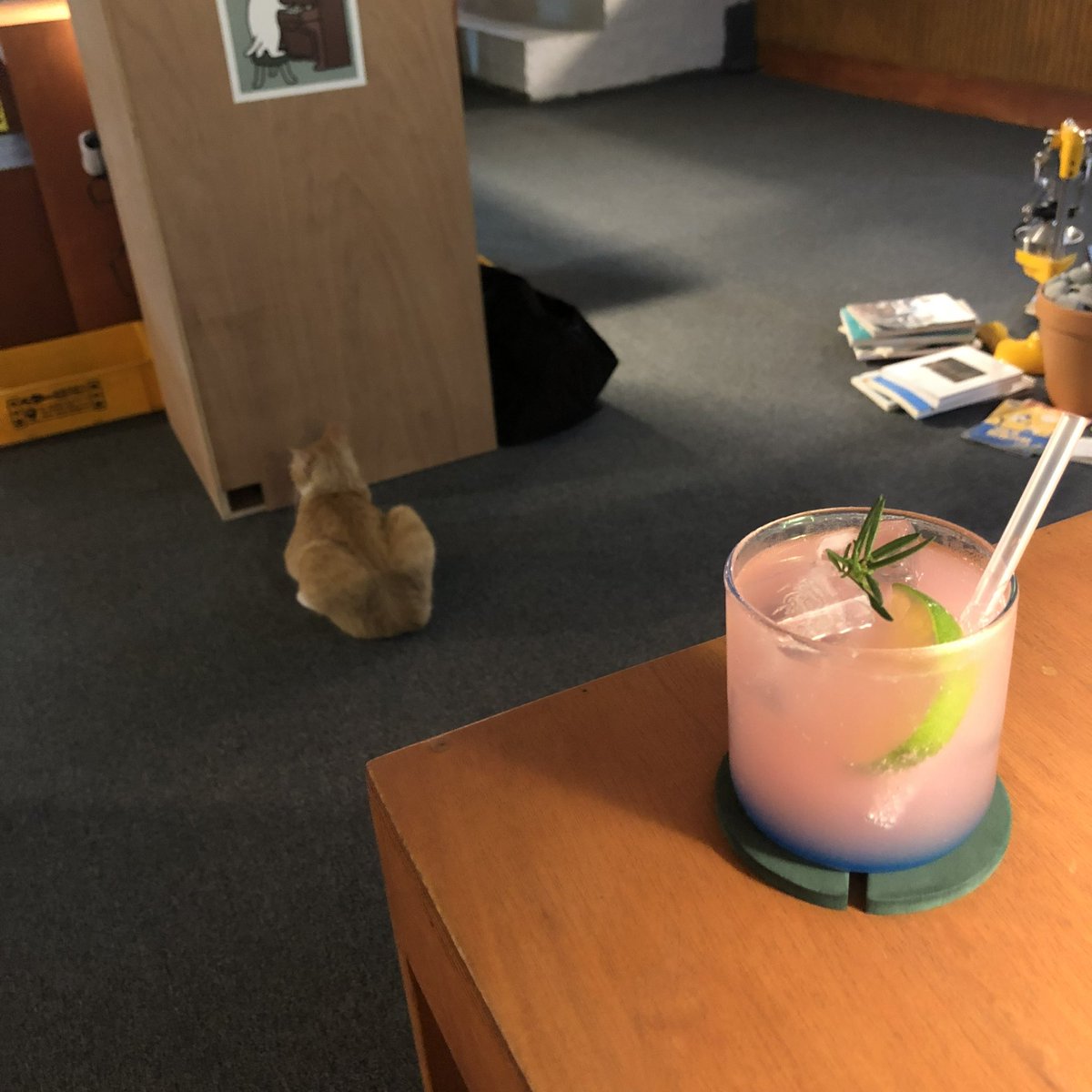 비건도 대구와라! ^_−☆ 비건ver 대구 여행 루트📍
#나의비거니즘일기

1. 동대구역 근처에서 잠깐 한숨 돌리고 가겠다 
> 헤이차일드(소르베, 과일맛만 비건)
> 심플책방(책은 많이 빠져서 볼 거 없는데 음료 마시면서 라임레몬(고양이형제)을 관찰, 가끔 임보 중임, 레몬이가 가방 뒤짐)