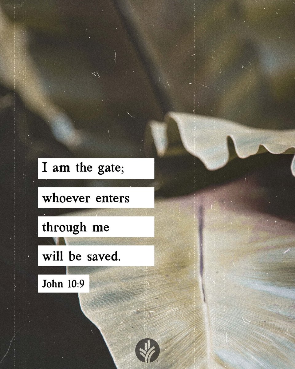 When doors close to me, dear God, may I turn to You, the Holy Door, and walk where and how You say to go. 🙌 #OurDailyBread #DailyBread #BreadOfLife #LivingWater #AnchoredInGodsWord #GodsWord #WordOfGod