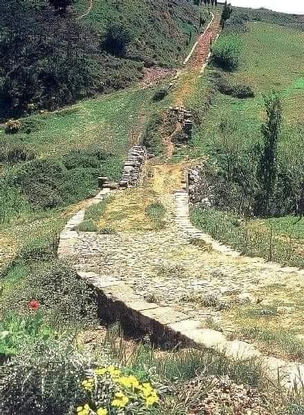 Roman road in the northern Spanish province of León had remained untrodden for more than 2000 years; a 1.3km stretch of history, surrounded by the sites of former camps, dotted with milestones from 3rd Century AD, and hiding the remains of protective walls just under the surface.
