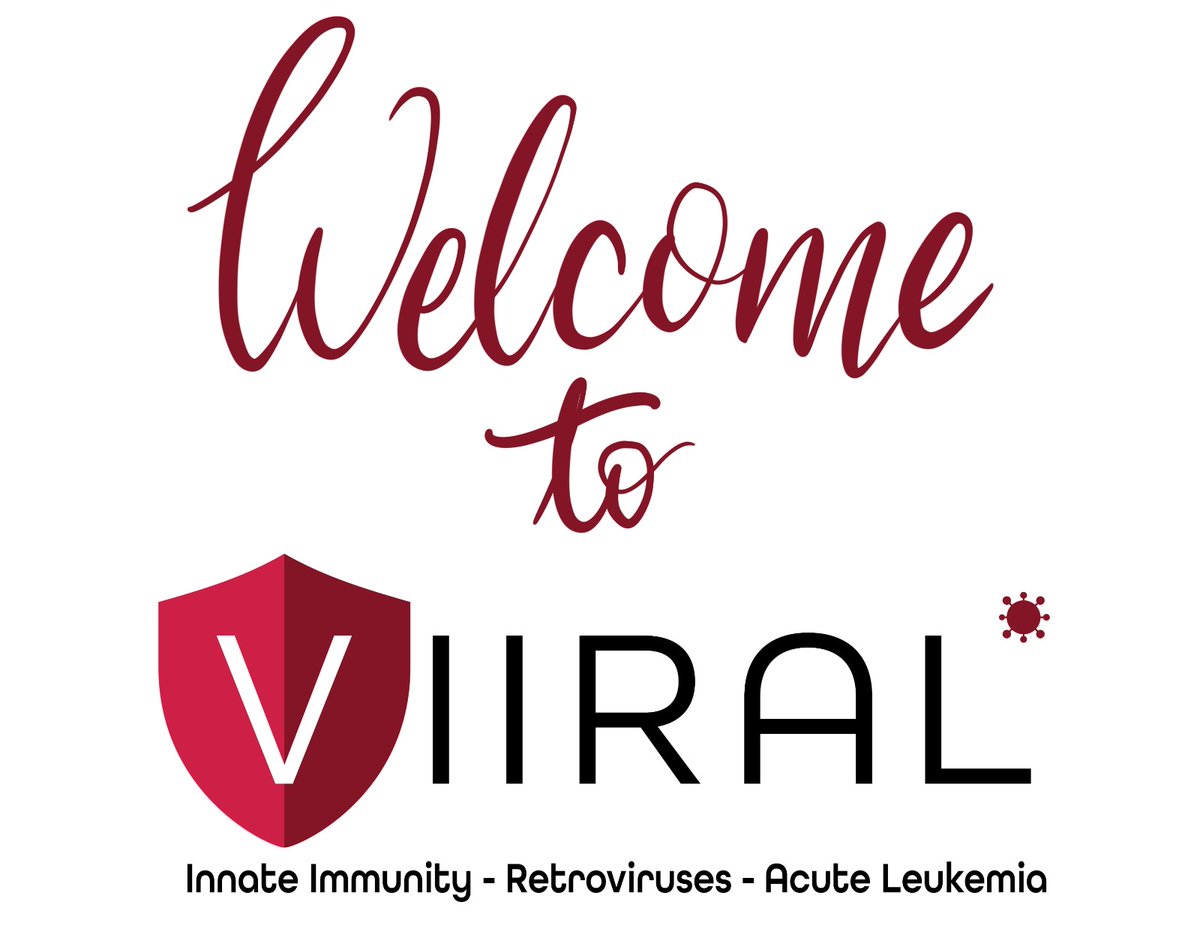 Baldauf_Lab's tweet photo. Welcome Chuyu to the #VIIRAL lab! We wish you a great time with us during your Master thesis 🤩. https://t.co/lGY6rLepVP