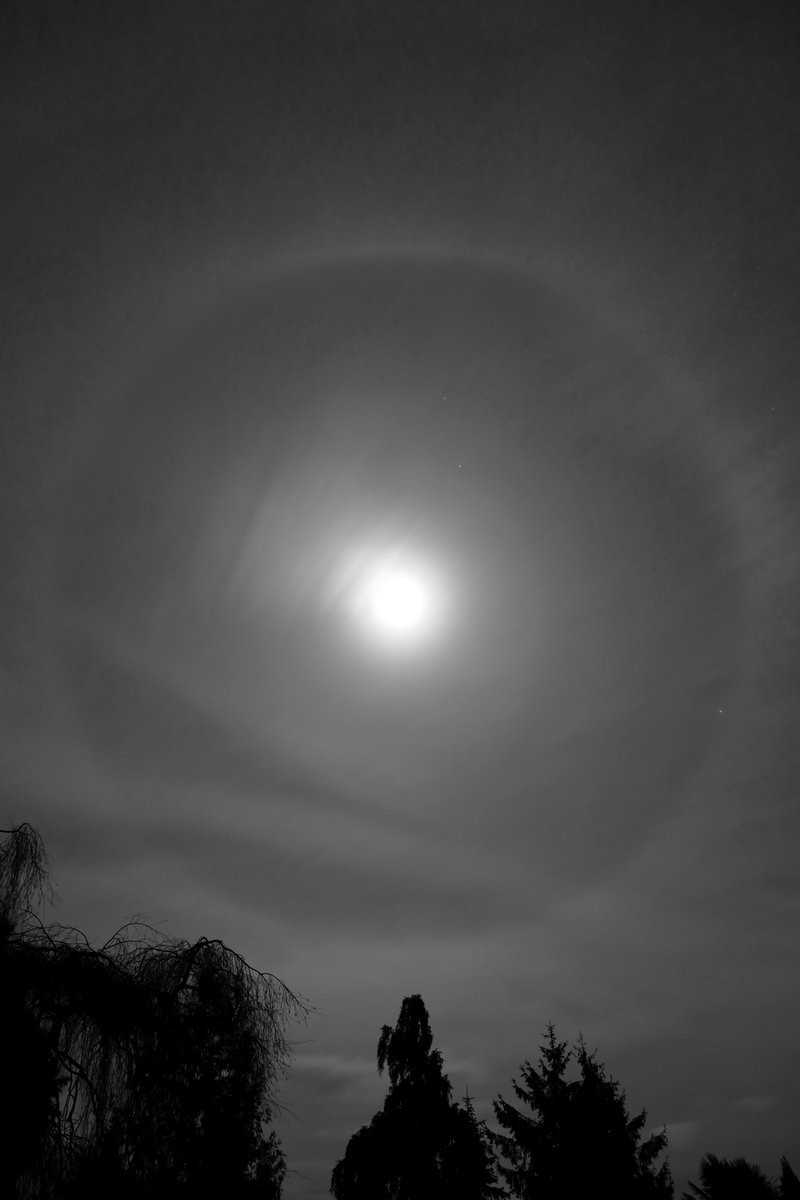 Its been a while since I've had a Camera out, but I noticed there was a really good #Moon #Halo earlier tonight that was worth getting it out for. @LincsSkies @StormHour