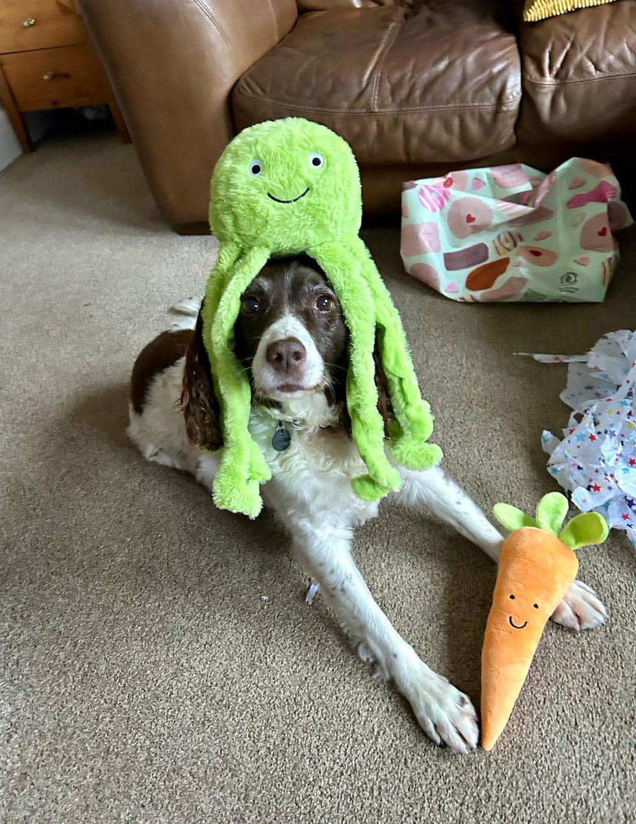 It’s my birthday today!

11 years old.