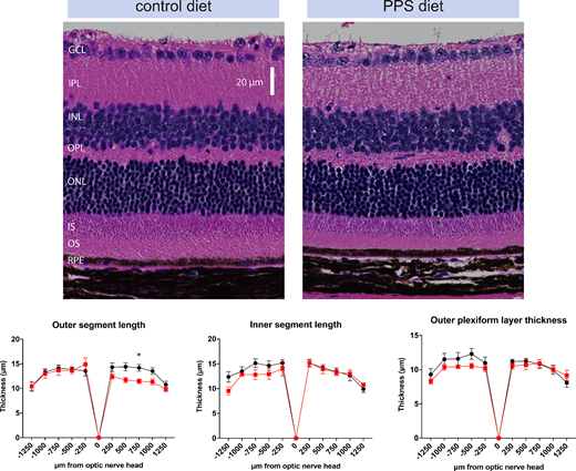 IOVS Journal tweet media