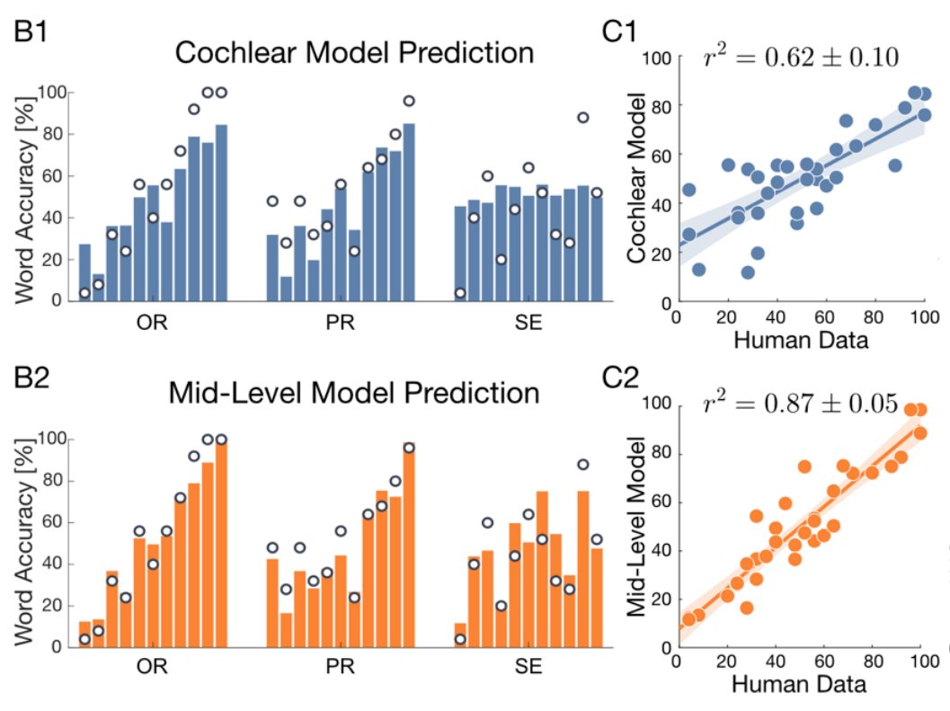 ihstevenson's tweet photo. Alex's model goes beyond "energetic masking" and shows that the modulation statistics play a major role, and a low-dimensional model explains ~90% of the variance in behavior 3/ https://t.co/42tWzpge8c