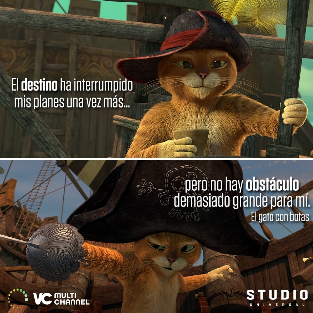 multichannelve's tweet photo. Nosotros también adoramos a los gatos y más si tienen botas, como nuestro personaje favorito de película.😍🤭

#GatoConBotas #StudioUniversal #VcMultichannel https://t.co/3L82jmrzCm