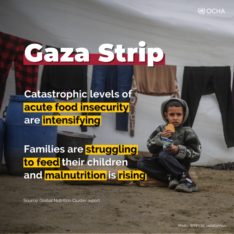 UNOCHA's tweet photo. Access to food, clean water and health services across #Gaza is becoming increasingly scarce and diseases are proliferating amid ongoing hostilities.

A steep rise in malnutrition is being reported notably among children, as well as pregnant and breastfeeding women. Learn more 👇
