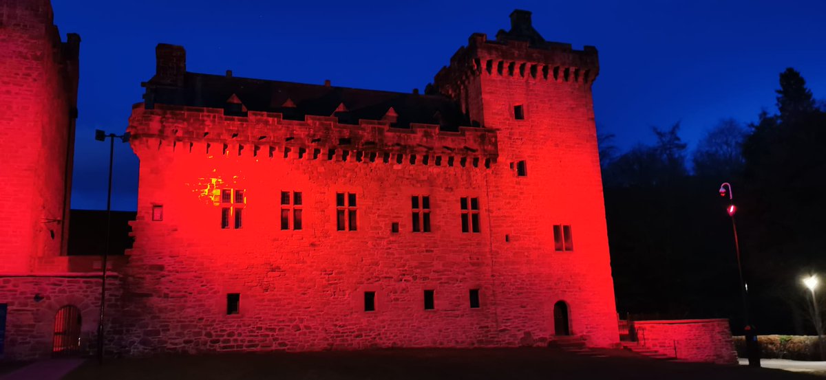 Tomorrow is #Red4Wed wear something RED to raise awareness and talk about Encephalitis It changes lives and has a mortality rate associated with it I was 1 of the lucky 1's, although the journey was tough at times. Early diagnosis is key to improved outcomes @encephalitis