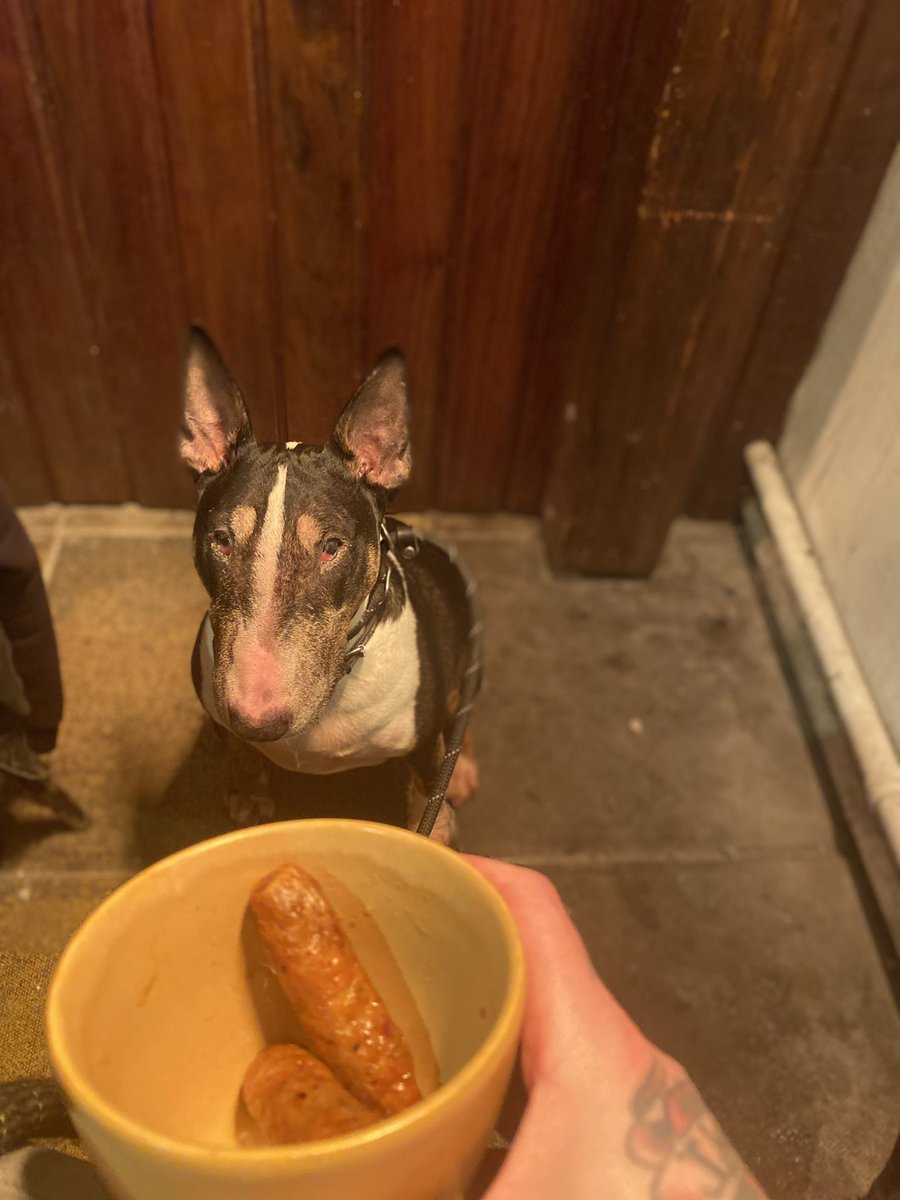 a nice man gave me his sausages😄