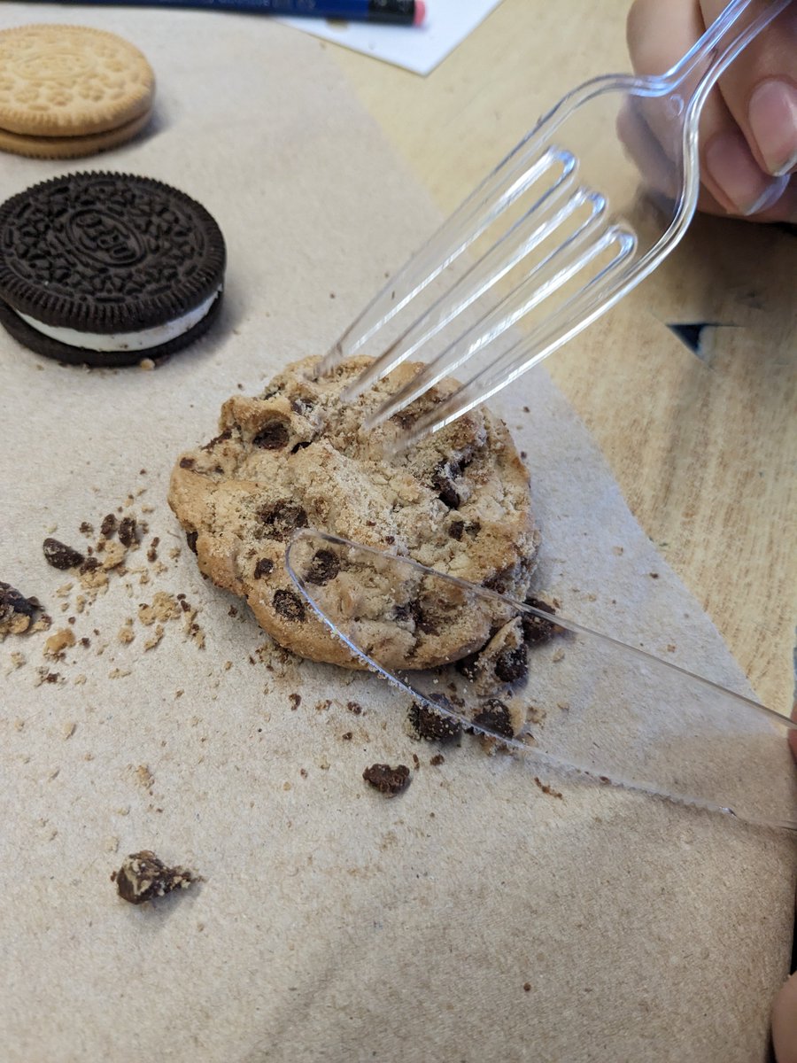 Lucas Anderson tweet media