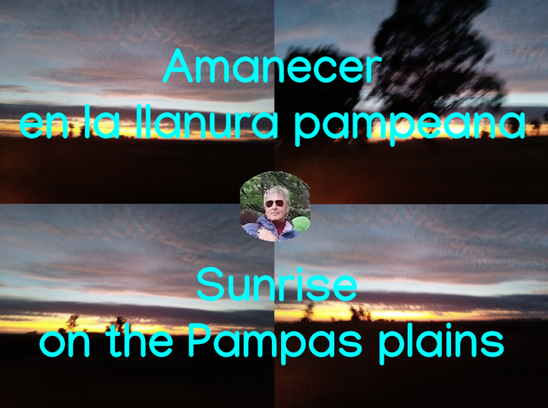 belmaxhugo's tweet photo. Amanecer en la llanura pampeana. https://t.co/ON3l9Aru0i https://t.co/hvAydbhuv6