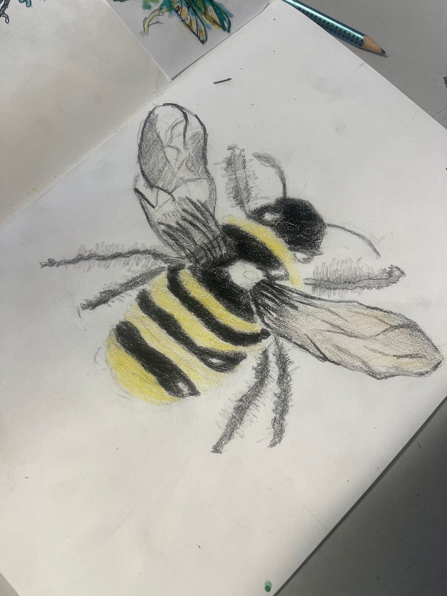 Chcsartdept's tweet photo. 🐞🕸🦋🐝🕷✨ https://t.co/AaQgP1L71R