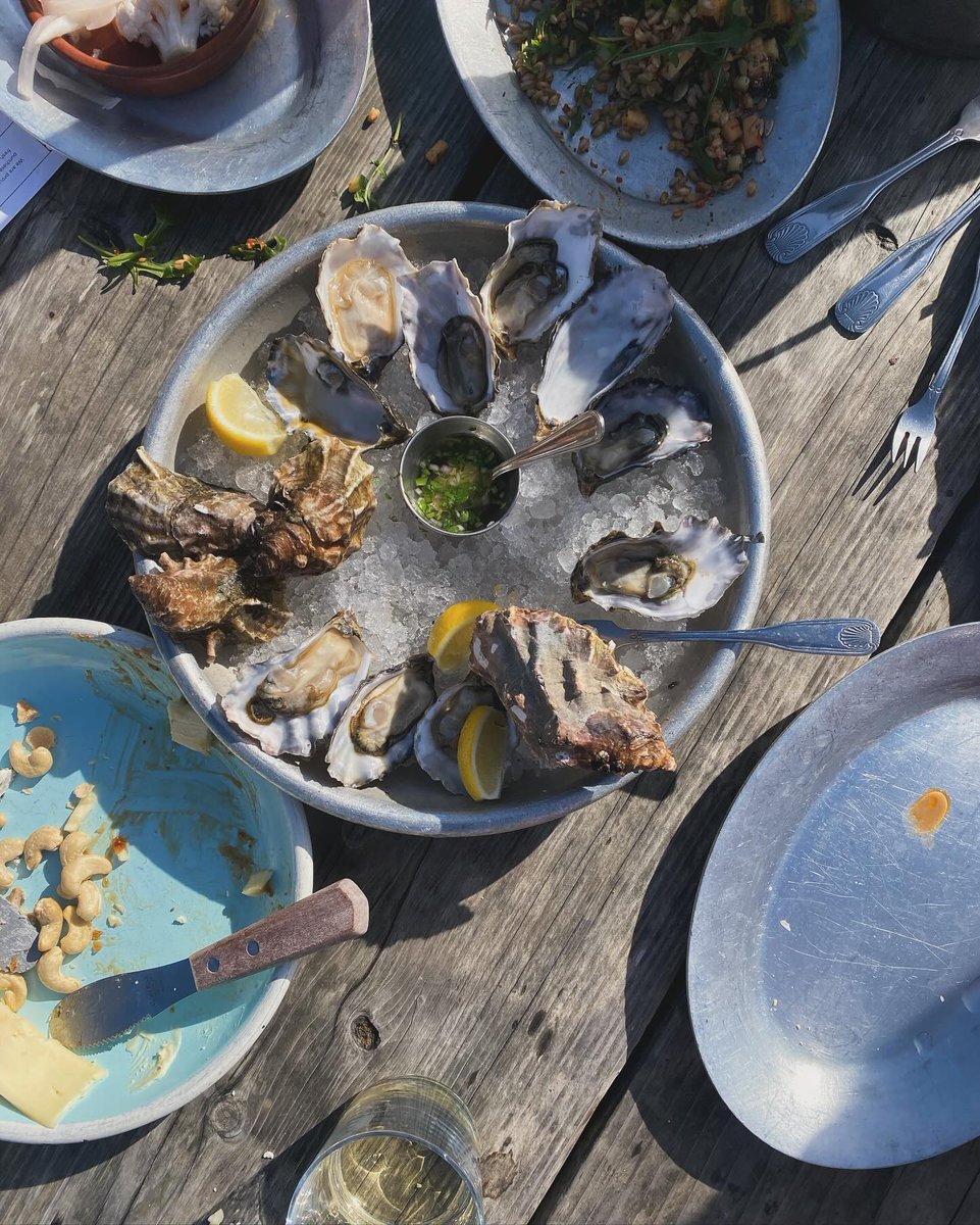 hogislandoyster tweet picture