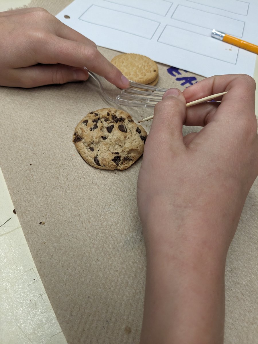 Lucas Anderson tweet media