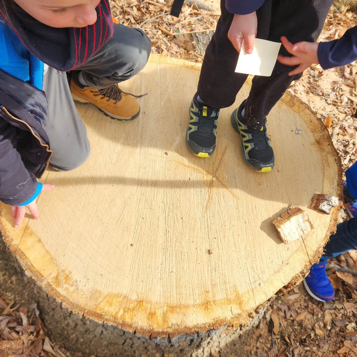 UrbanAdvSquad's tweet image. Gotta catch em all! When school was closed last Friday, #SquadMembers practiced winter tree ID by using Pokemon-inspired cards to look at bark, buds, and twigs.

#SchoolsOutSquadsIn
#ThisIsOutdoorLearning 
#CityAsAClassroom 
#EquitableOutdoorLearning