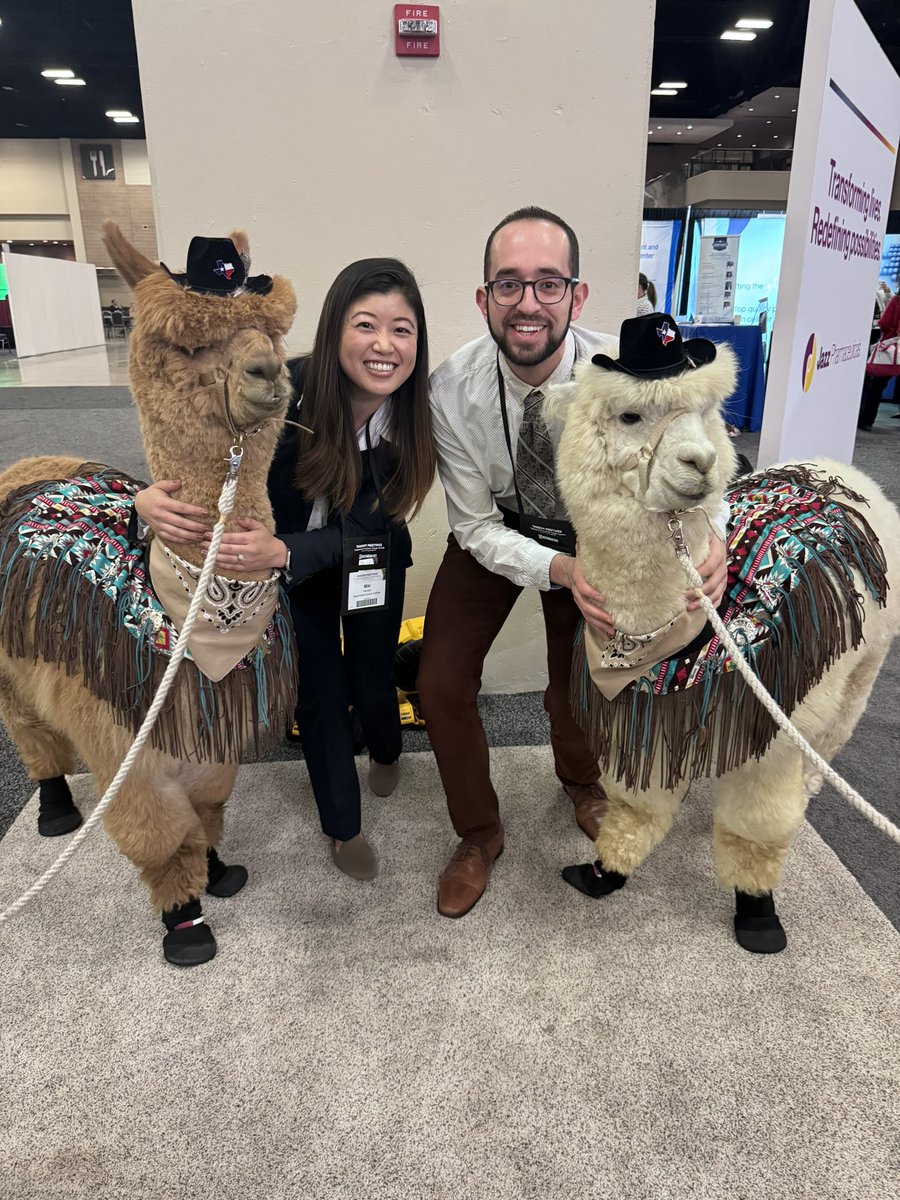 mikinishitanimd's tweet photo. Alpacas wearing boots and tiny hats? Is this a transplant conference? Sure is. #Tandem24 @LevGorfinkel @DFBC_PedCare https://t.co/YRVKJaScjn