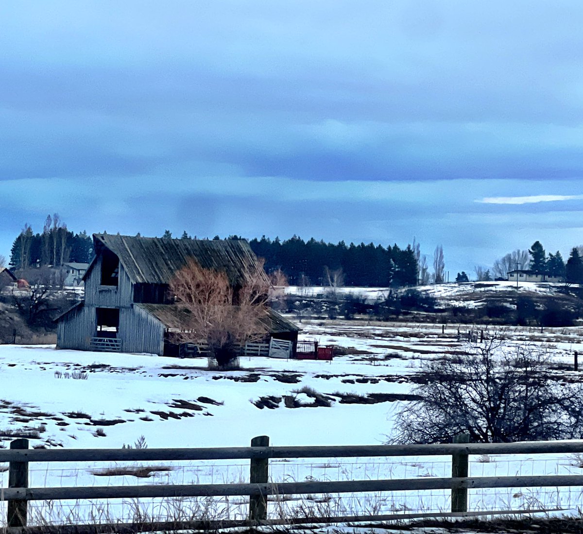 Random #barn and #snow pic of the day in beautiful <a href="/Visit_Kalispell/">Discover Kalispell</a> <a href="/visitmontana/">Visit Montana</a>.