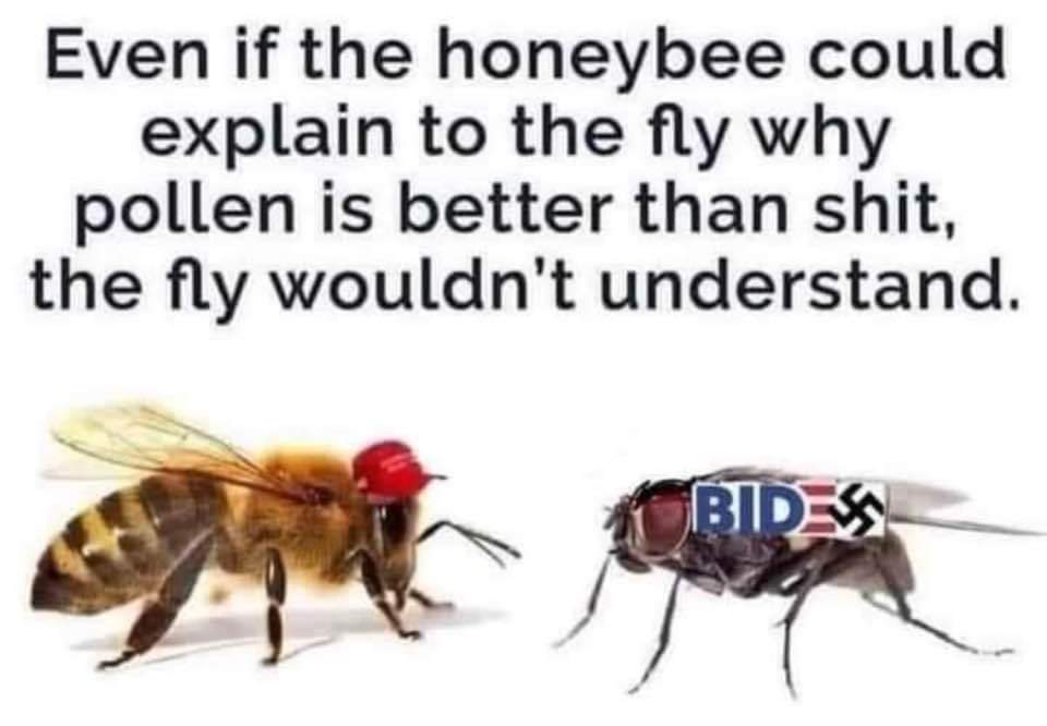 American_Jeny20's tweet image. 