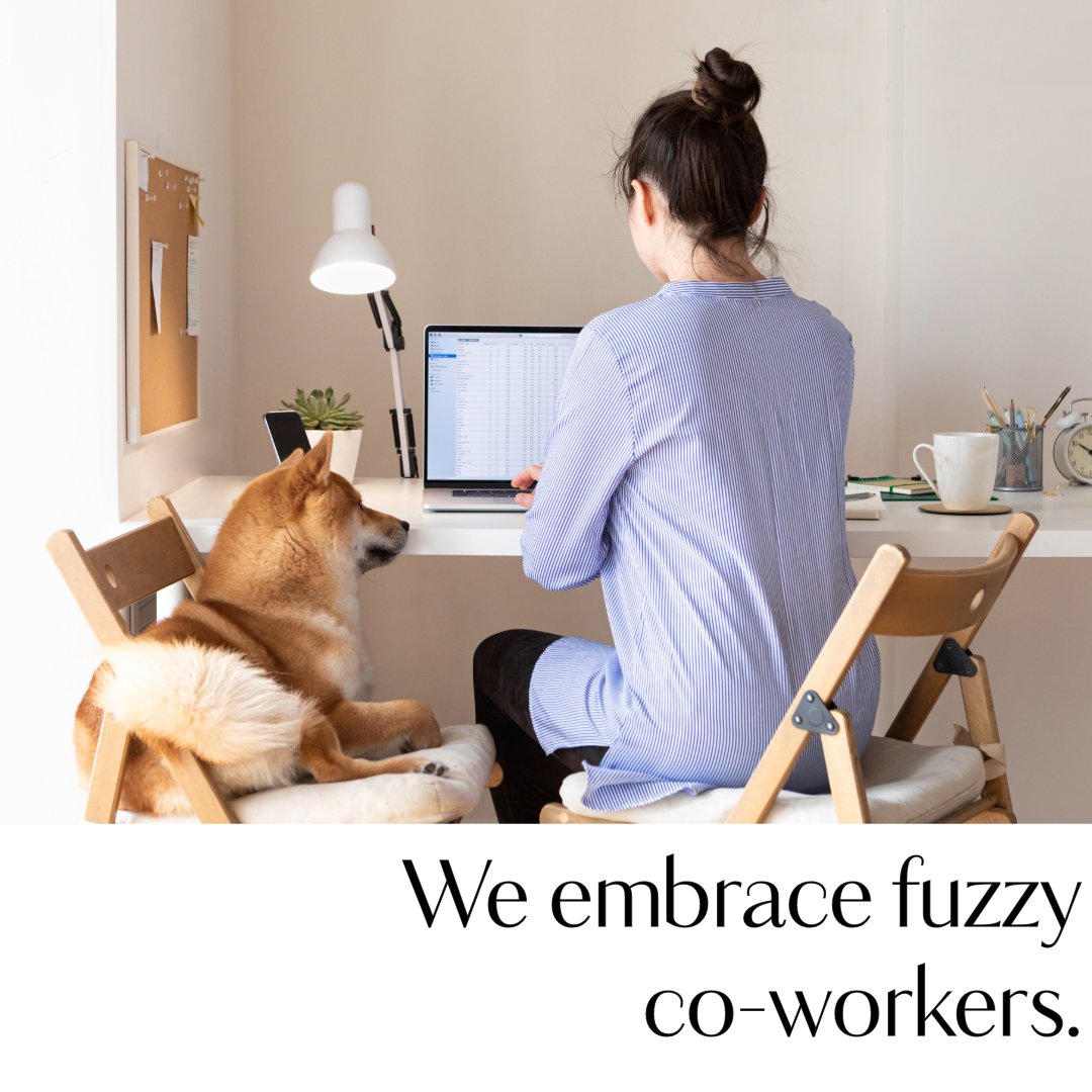 VTDeptTaxes's tweet image. We have Tax Analyst positions open! We'll train you on the tax knowledge you need. All of these positions allow you to be with your "fuzzy co-workers" four days a week after a training period, with one in-office day per week. tax.vermont.gov/careers #vttax  #montpelier #VtLife