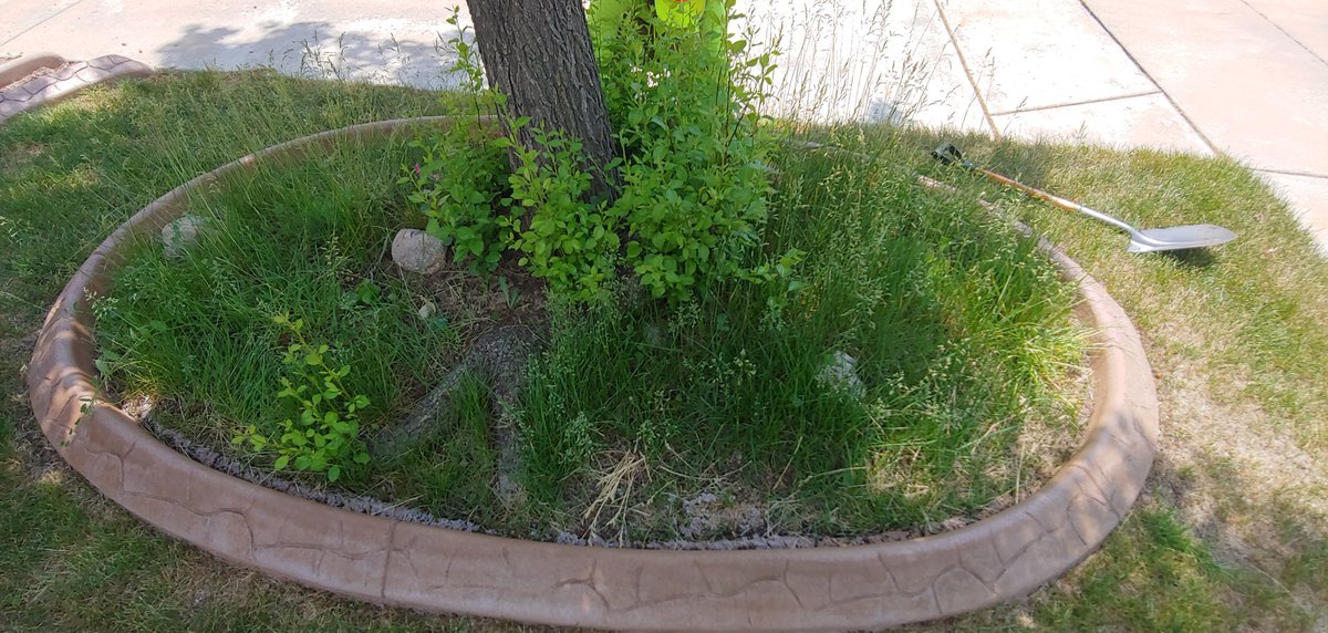 AOSDenver's tweet photo. 🤩Cleanouts are our middle name!🤩
Proof is in the pudding. Call (720) 665-5458 or visit https://t.co/6LmOjE4VGy to book an estimate.
Zack F.
AOS Manager https://t.co/rRIRFy1hbF