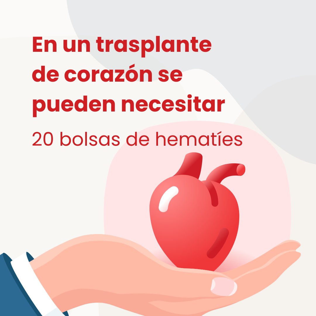 ¿Sabías que en un trasplante de corazón se pueden necesitar hasta 20 bolsas de hematíes? 🩸❤️ Tu donación de sangre puede dar vida a quienes más lo necesitan

#donasangre #donasangrecyl