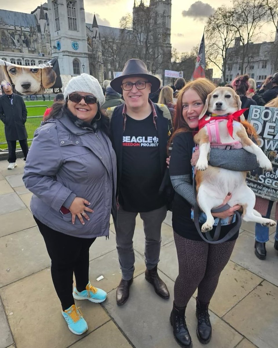 Beagle Freedom Project UK tweet media