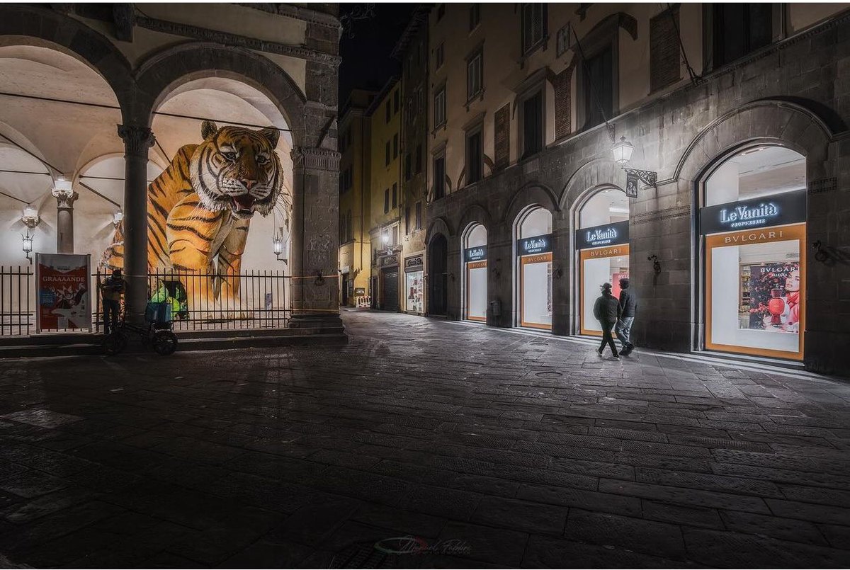 #lucca - Piazza San Michele per Carnevale di Manuel Fabbri